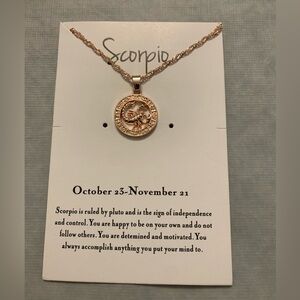 Scorpio Pendant on 19” Chain in Rose Gold Color